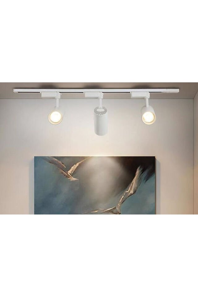 Ct-5333G 30W Beyaz Babil Led Ray Spot Armatür 3200K (Günışığı)
