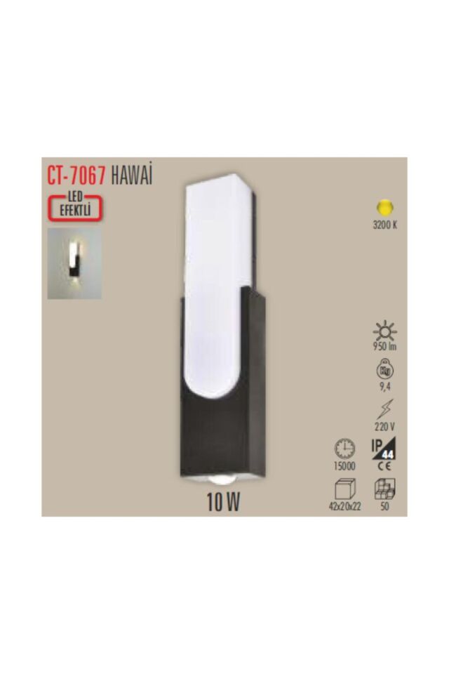 CT 7067 10W Hawai Dış Mekan Led Aplik
